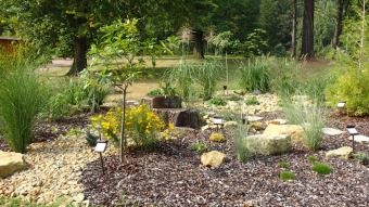 2016 Arboretum Žampach - konec léta (16.9.)