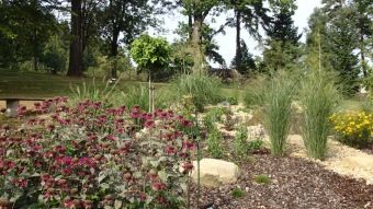 2016 Arboretum Žampach - konec léta (16.9.)