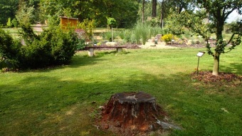 2016 Arboretum Žampach - konec léta (16.9.)