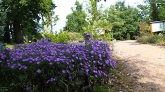 2016 Arboretum Žampach - konec léta (16.9.)