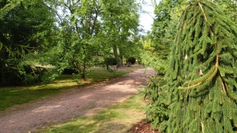 2016 Arboretum Žampach - konec léta (16.9.)