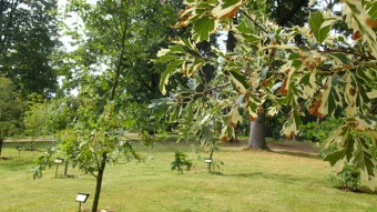 2016 Arboretum Žampach - konec léta (16.9.)