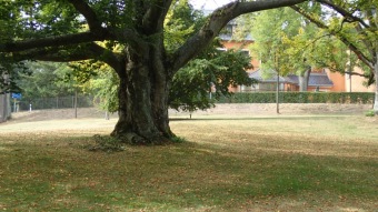 2016 Arboretum Žampach - konec léta (16.9.)