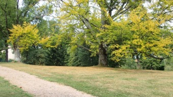 2016 Arboretum Žampach - konec léta (16.9.)