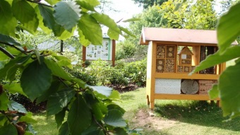 2016 Sadové úpravy - horní zámecký park - nový záhon