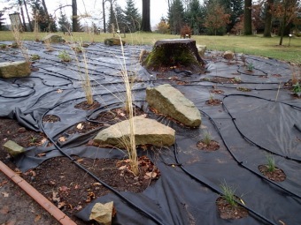 2016 Sadové úpravy - horní zámecký park - nový záhon