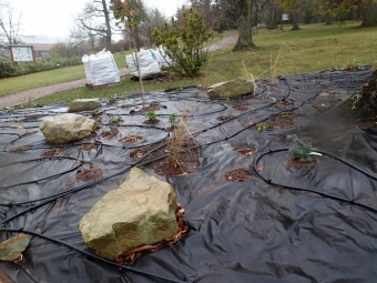 2016 Sadové úpravy - horní zámecký park - nový záhon