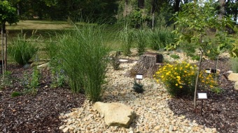 2016 Sadové úpravy - horní zámecký park - nový záhon