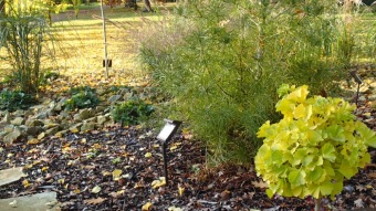 2016 Sadové úpravy - horní zámecký park - nový záhon