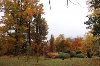 Žamapach arboretum - horní park - podzim 2021