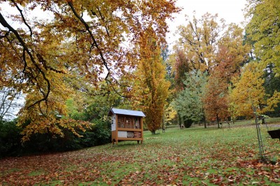 Žamapach arboretum - horní park - podzim (3) 2021