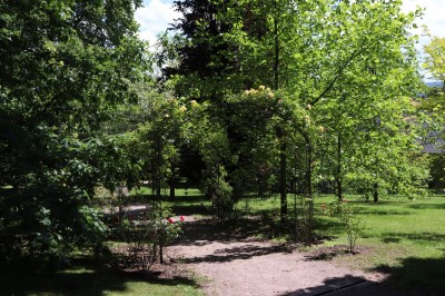 Žampach Arboretum - horní park - 2024