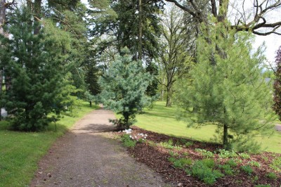 Žampach Arboretum - horní park - jaro (11)