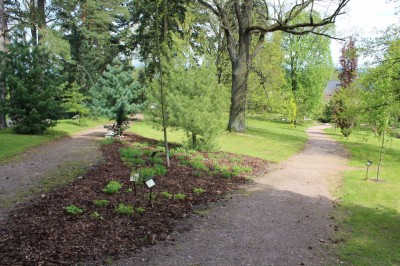 Žampach Arboretum - horní park - jaro (12)