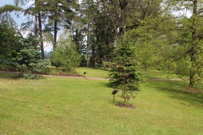 Žampach Arboretum - horní park - jaro (14)