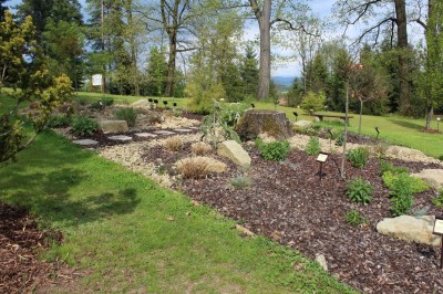Žampach Arboretum - horní park - jaro (18)