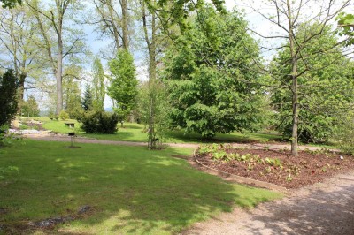 Žampach Arboretum - horní park - jaro (19)