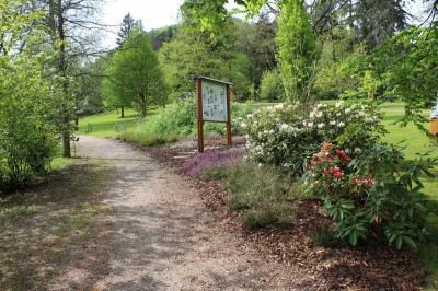 Žampach Arboretum - horní park - jaro (20)