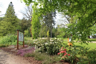 Žampach Arboretum - horní park - jaro (21)