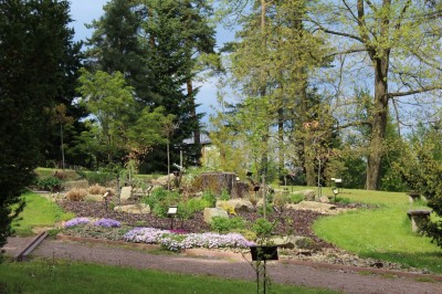 Žampach Arboretum - horní park - jaro (23)