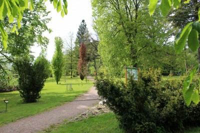 Žampach Arboretum - horní park - jaro (27)