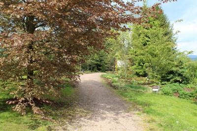 Žampach Arboretum - horní park - jaro (28)