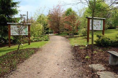 Žampach Arboretum - horní park - jaro (31)