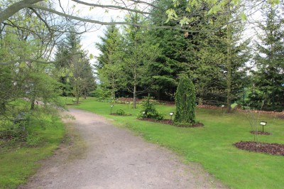Žampach Arboretum - horní park - jaro (32)
