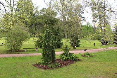 Žampach Arboretum - horní park - jaro (33)