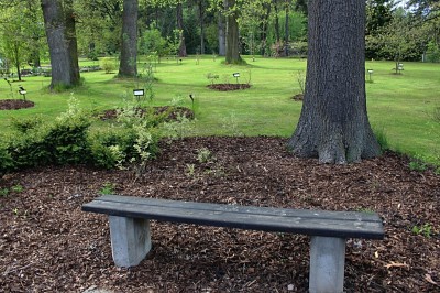 Žampach Arboretum - horní park - jaro (35)