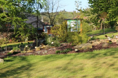 Žampach Arboretum - horní park - jaro (39)