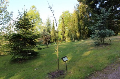 Žampach Arboretum - horní park - jaro (43)