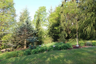 Žampach Arboretum - horní park - jaro (44)