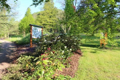 Žampach Arboretum - horní park - jaro (49)