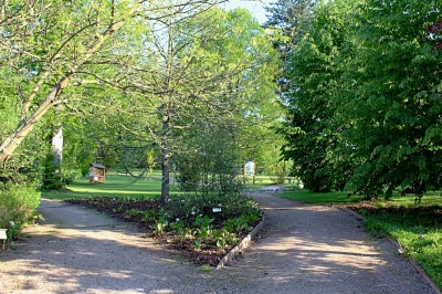 Žampach Arboretum - horní park - jaro (51)