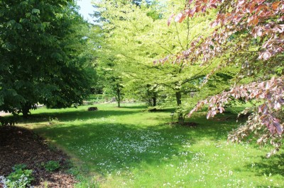 Žampach Arboretum - horní park - jaro (56)