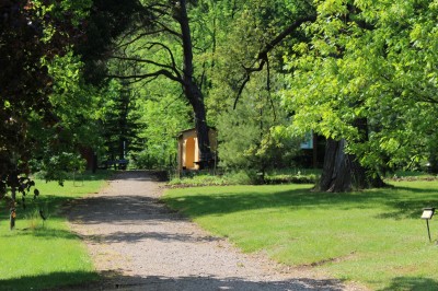 Žampach Arboretum - horní park - jaro (59)