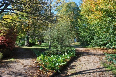 Žampach Arboretum - horní park - podzim 2019