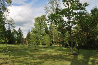Žampach Arboretum - horní park 2019  - jaro (8)