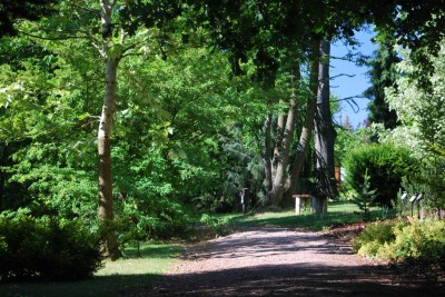 Žampach Arboretum - léto 2018 (46)