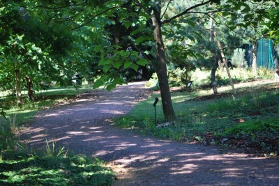 Žampach Arboretum - léto 2018 (47)