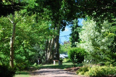 Žampach Arboretum - léto 2018 (50)