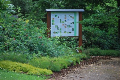 Žampach Arboretum - léto 2018 (61)