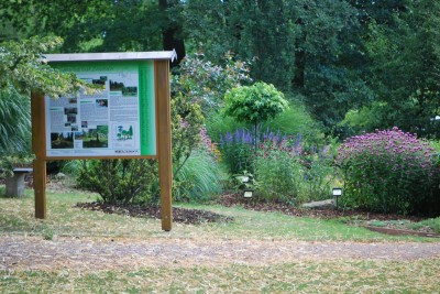 Žampach Arboretum - léto 2018 (62)