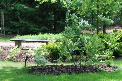 Žampach arboretum - horní park - léto (15)