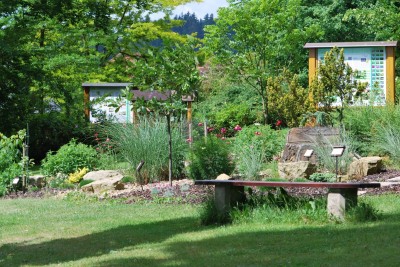 Žampach arboretum - horní park - léto (16)