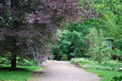 Žampach arboretum - horní park - léto (26)
