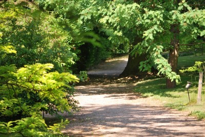 Žampach arboretum - horní park - léto (35)
