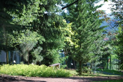 Žampach arboretum - horní park - léto (48)