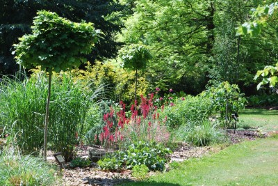 Žampach arboretum - horní park - léto (4)